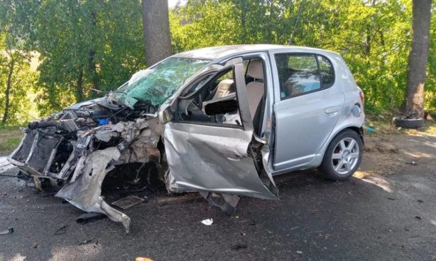 Toyota uderzyła w drzewo, kierowca walczy o życie