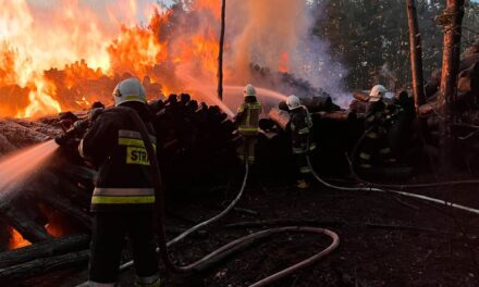 Kilkanaście zastępów straży walczy z pożarem składu drewna