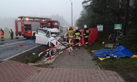 Śmiertelny wypadek w Ostrzeszowie. Zginął emerytowany strażak