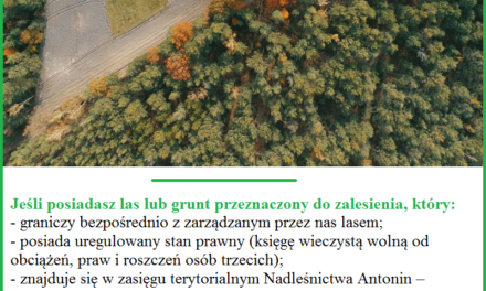 Ogłoszenie: Nadleśnictwo Antonin jest zainteresowane zakupem lasów oraz gruntów przeznaczonych do zalesienia