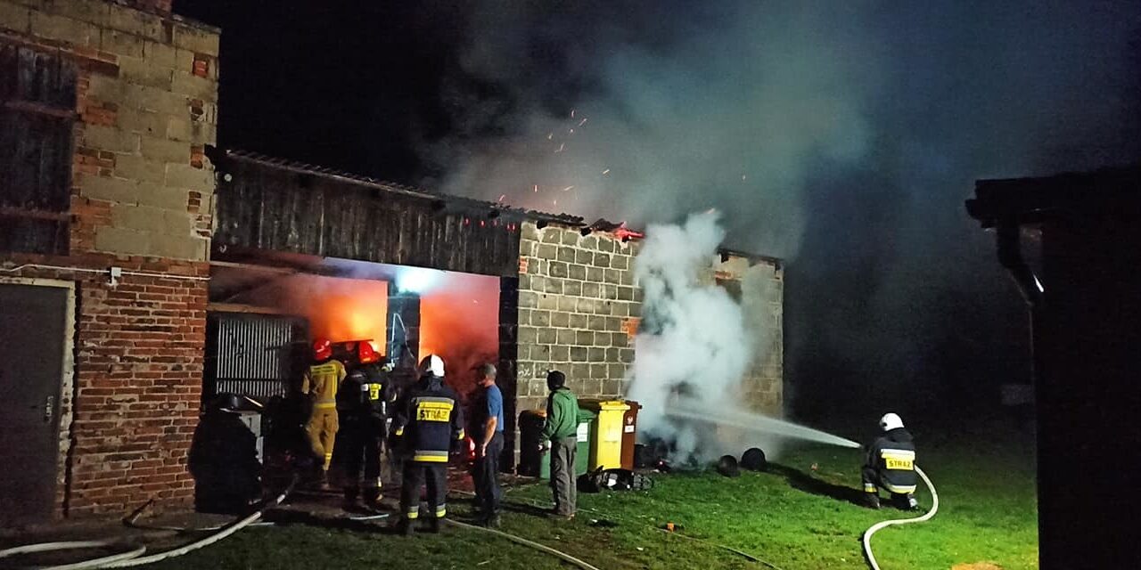 Pożar budynku gospodarczego w Przytocznicy. Spłonęło drewno na zimę