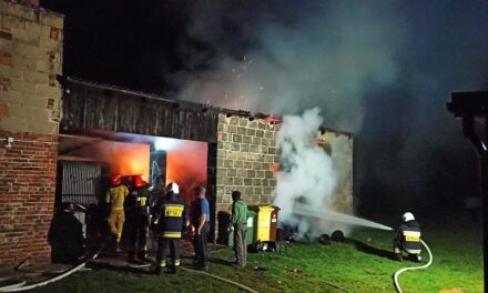 Pożar budynku gospodarczego w Przytocznicy. Spłonęło drewno na zimę