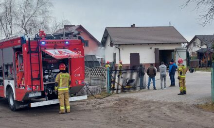 Strażacy interweniowali w Olszynie