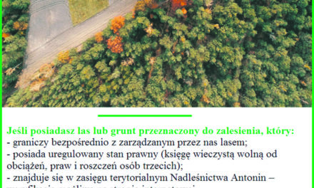 Nadleśnictwo Antonin jest zainteresowane zakupem lasów oraz gruntów przeznaczonych do zalesienia!