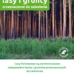 Nabywamy lasy i grunty przeznaczone do zalesienia [OGŁOSZENIE]