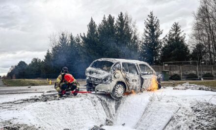 Pożar samochodu w Rojowie FILM