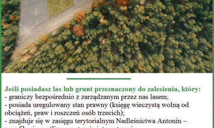 Nadleśnictwo Antonin jest zainteresowane zakupem lasów oraz gruntów przeznaczonych do zalesienia