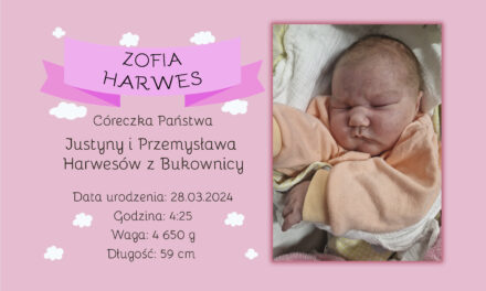 Zofia Harwes
