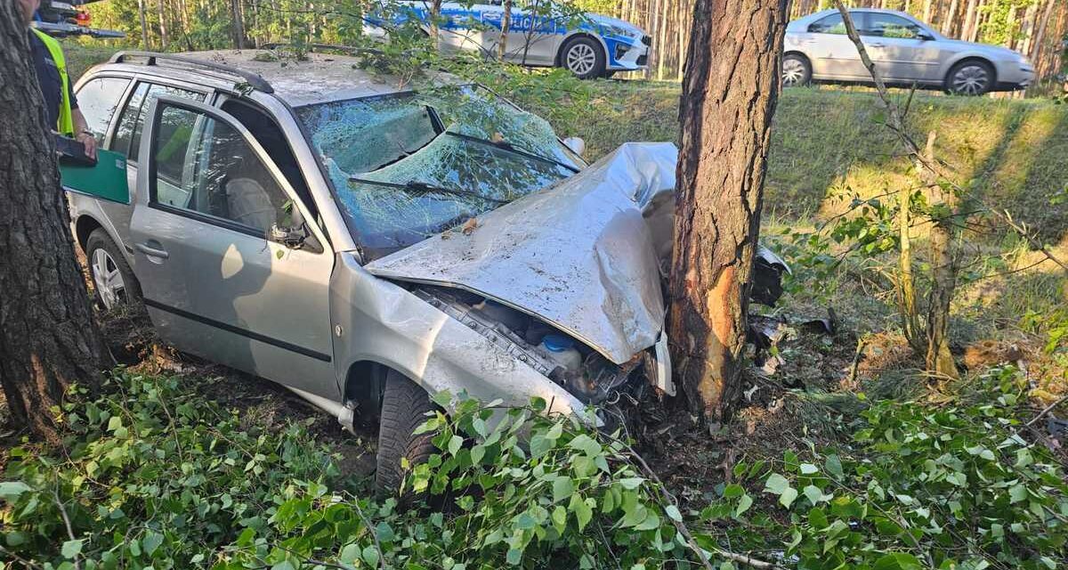 21-latek uderzył samochodem w drzewo. Był nietrzeźwy