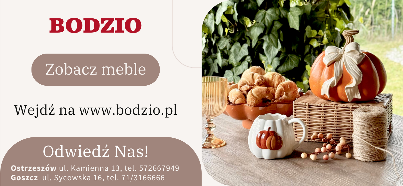 Bodzio Bodzio